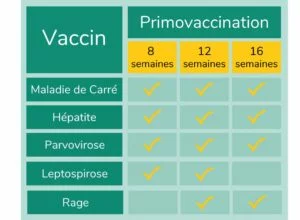 Tableau sur la vaccination des animaux domestiques