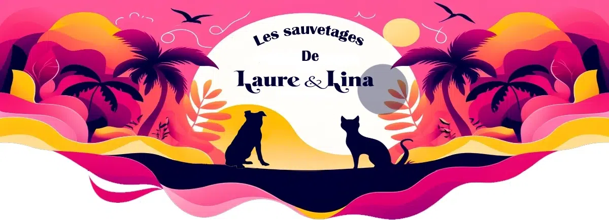 Association Les sauvetages de Laure et Lina, Adoption de chiens et de Chats