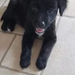 toupie 3