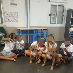Objectif mediation animale